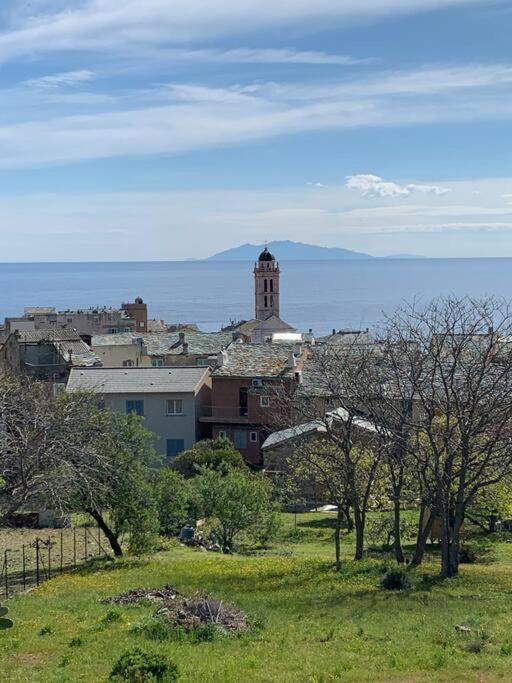 Magnifique Maison Avec Vue Mer Hauteur De Bastia Bastia  Extérieur photo